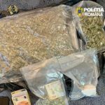 Aproximativ 1 2 kilograme de canabis gasite in urma perchezitiilor la domiciliu si in masini