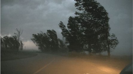 Ialomita Intensificari ale vantului si precipitatii semnificative